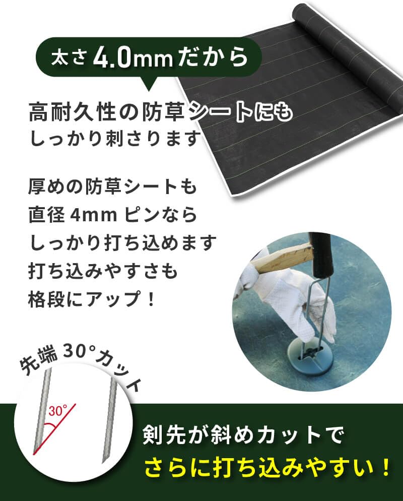 Amazon.co.jp: DAIM φ4mm コの字ピン 長さ30cm 100本入 太い 剣先 防草